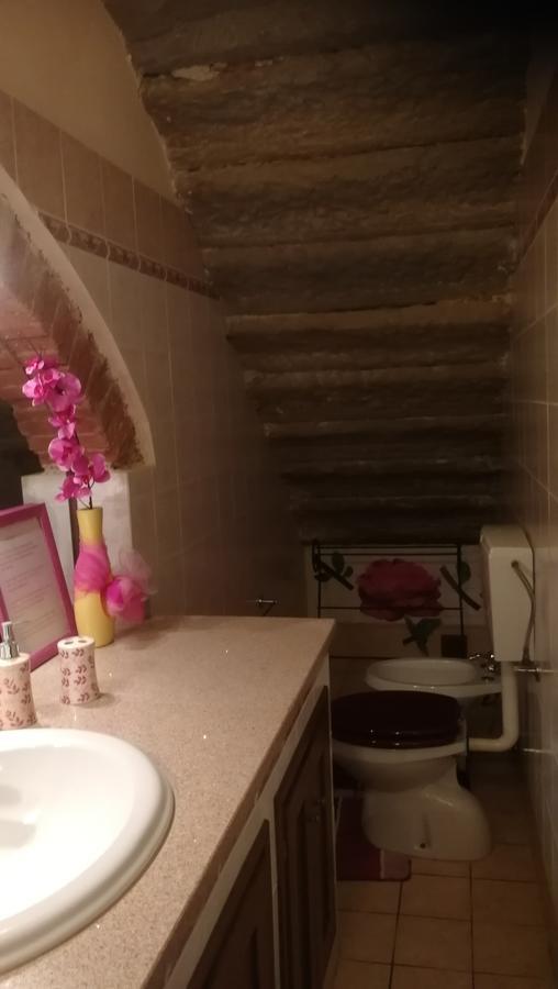 Il Nido Rustico Apartment Ponsacco Bagian luar foto